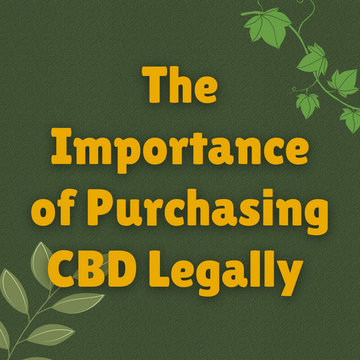 The Importance of Purchasing CBD Legally