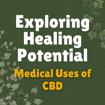 Exploring the Healing Potential: Medicinal Uses of CBD