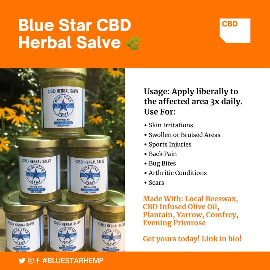 Five Herb Topical Salve with 500mg Full Spectrum CBD Extract